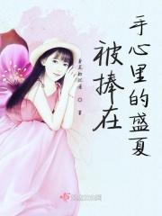 被捧在手掌心上是什么歌的歌词?