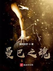 曼巴精神和曼巴之怒的区别