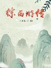 西游记综穿