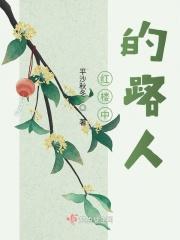 红楼中的路人txt