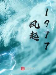 风起1981