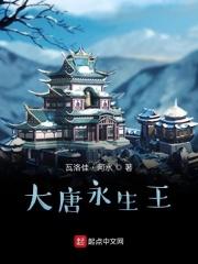 大唐西市永生花