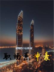 职场系统