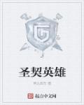 圣契骑卡组最新