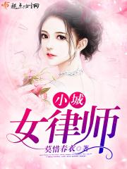 上海小城律师事务所怎么样